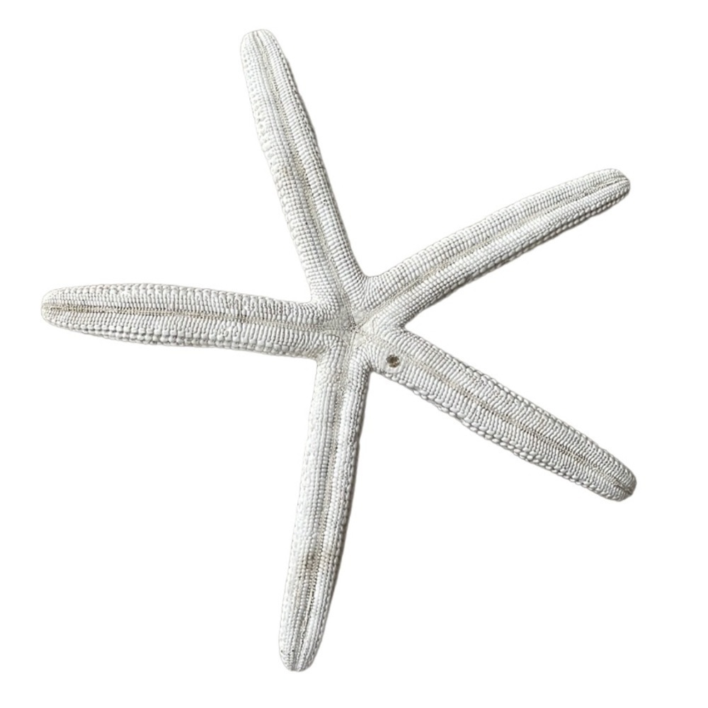 WHITE STARFISH FROM THE SEA - Picture 2 of 2